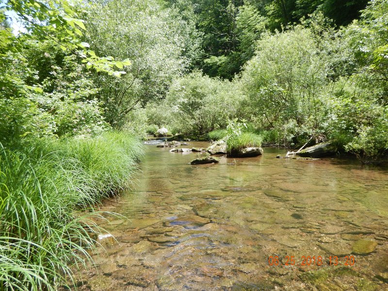 -Kettle Valley-119-.jpg